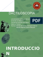 Técnica dactiloscopia identificación