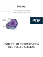 Estructura y Composición Del Núcleo Celular Biologia