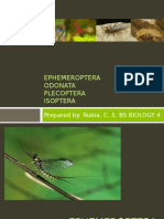 Entomology Lecture Report