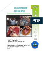 Analisis Anatomi Dan Histologi Ikan
