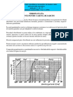 Vibroflotatie PDF