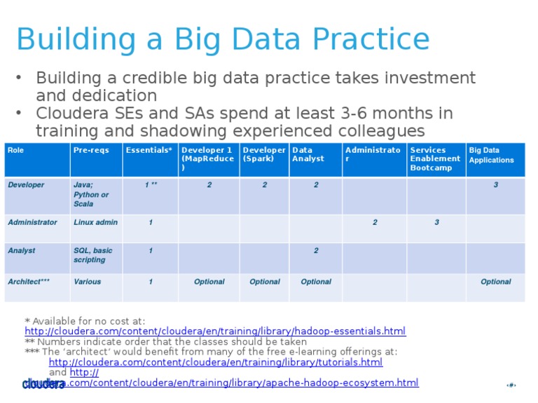 Building A Big Data Practice | PDF