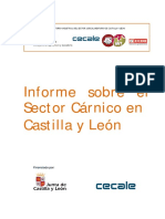 Informe Sobre El Sector Cárnico en Castilla y Le-n