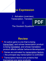 Gene Expression: 1: Activation (Overview), Transcription, Translation