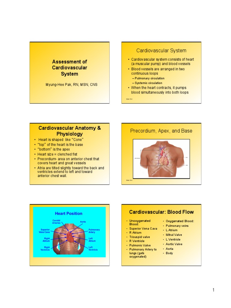 Assessment of Cardiovascular2014 | PDF | Heart Valve | Heart