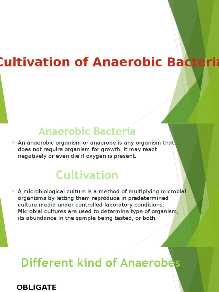 Cultivation of Anaerobic Bacteria Growth Medium Redox