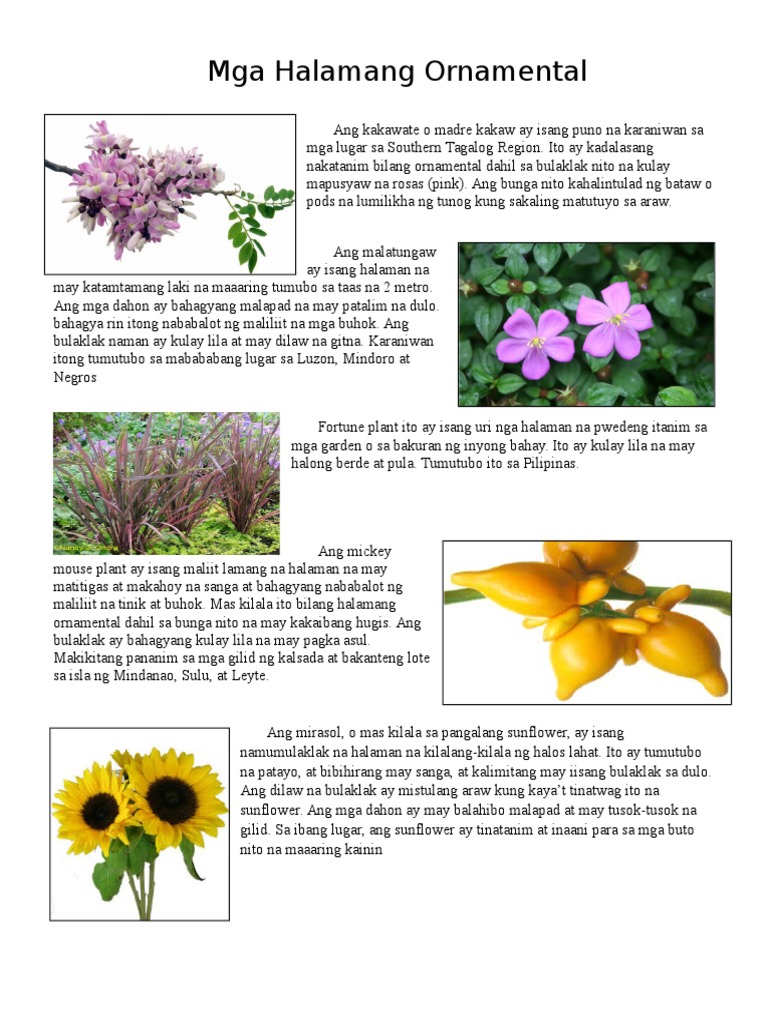 Mga Halamang Ornamental