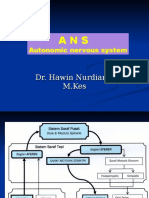 Autonomic Nerveus System