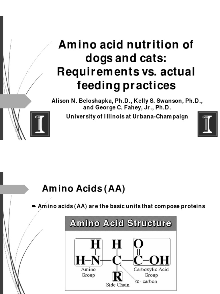 Amino Acid Nutrition of Dogs and Cats Biochemistry Food And Drink