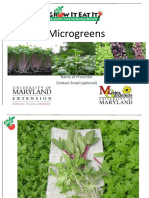 Microgreens Maryland 