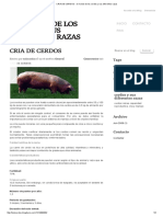 CRIA de CERDOS - El Mundo de Los Cerdos y Sus Diferentes Razas
