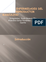 Partes y Enfermedades Del Aparato Reproductor Masculino