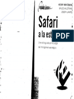 Safari_Mintzberg.pdf