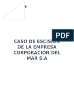 Caso de Escision de La Empresa Corporación Del Mar S