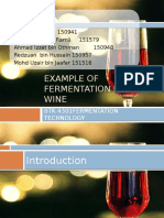 Example of Fermentation Process