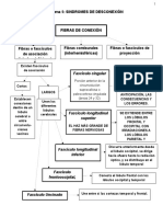 Tema 5 - Sindromes de Desconexión