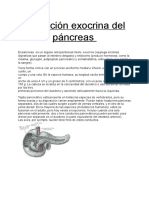Secrecion Exocrina Del Pancreas
