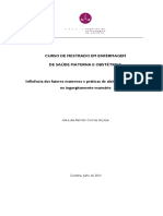 Curso de Mestrado em Enfermagem de Saúde Materna E Obstétrica