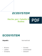 Ecosystem: Hecho Por: Catalin Daniel Budea