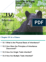 Patterns of Inheritance: With Physiology