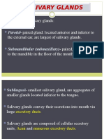 Salivary Glands
