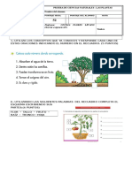 139651511-PRUEBA-DE-CIENCIAS-NATURALES-TERCERO-BASICO (1).docx