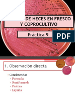 Examen de Heces y Coprocultivo