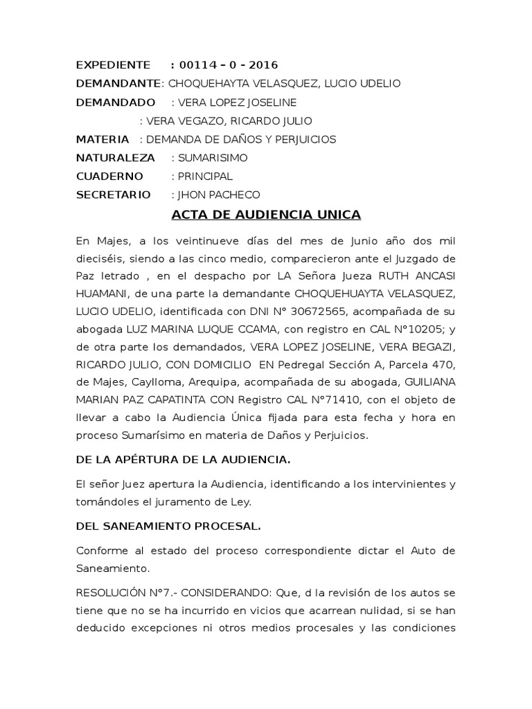 Acta de Audiencia Unica Práctica de la ley Demanda judicial