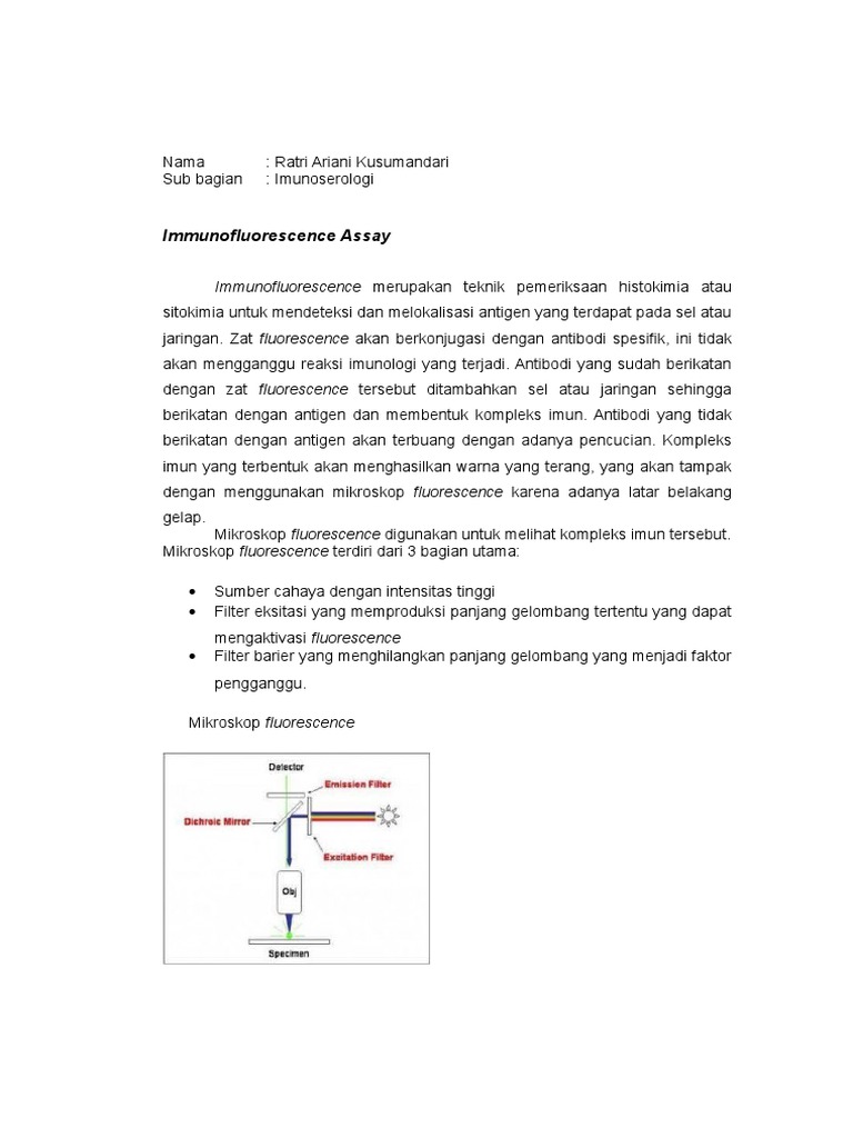 Teknik Immunofluorescence Assay | PDF | Kesehatan Holistik