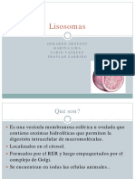 Lisosomas PDF