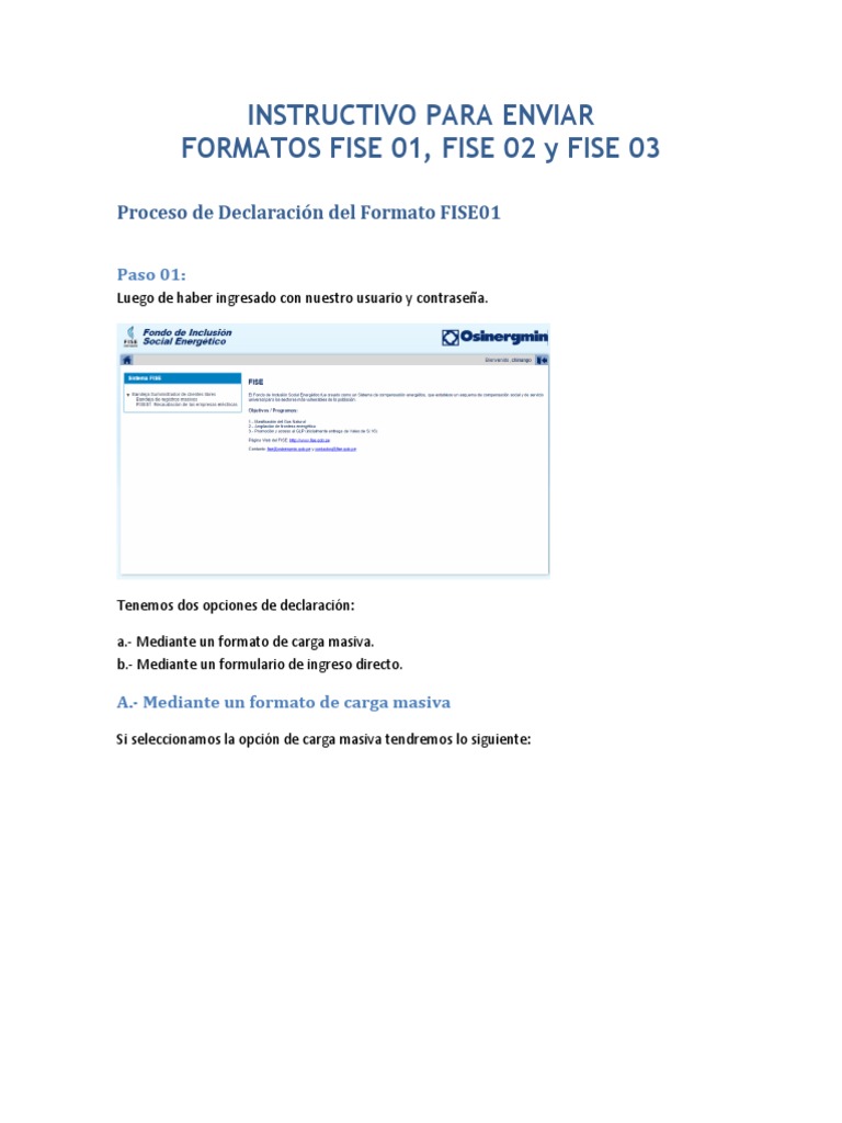 Instrucciones para Declarar Formatos FISE | PDF | Point and Click ...