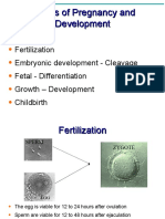 Human Embryonic Development