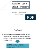 Perdarahan Trimester 1