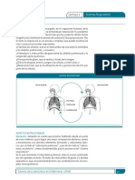 sistema respiratorio.pdf