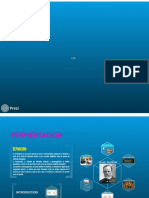 FERMENTACION PREZI