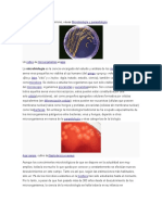 Microbiologia General PDF