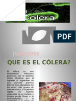 Juan Jose Barrea-colera