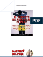 Libro Maestro Del PN PDF por Rafael Cruz.pdf