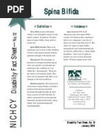 Download Spina Bifida Fact Sheet by National Dissemination Center for Children with Disabilities SN32394138 doc pdf