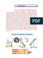 Mecanica Del Cuerpo Humano - Palancas