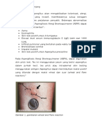 Pemeriksaan Penunjang Aspergillosis