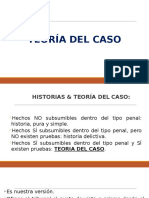 Teoria Del Caso Grupo