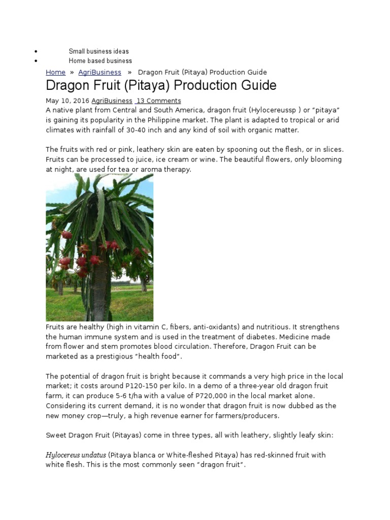 Dragon Fruit Production Organisms Landscape