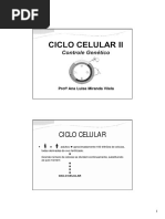 Ciclo Celular II