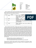 Klasifikasi Singkat Pepaya PDF