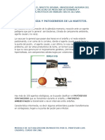 2.-Epidemiologia y Etiologia de La Mastitis