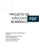 Relatorio Do Projeto de Calculo Numerico