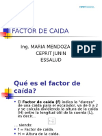 Factor de Caida