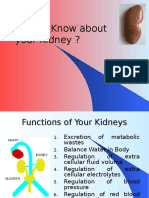 Do You Know About Your Kidney ?
