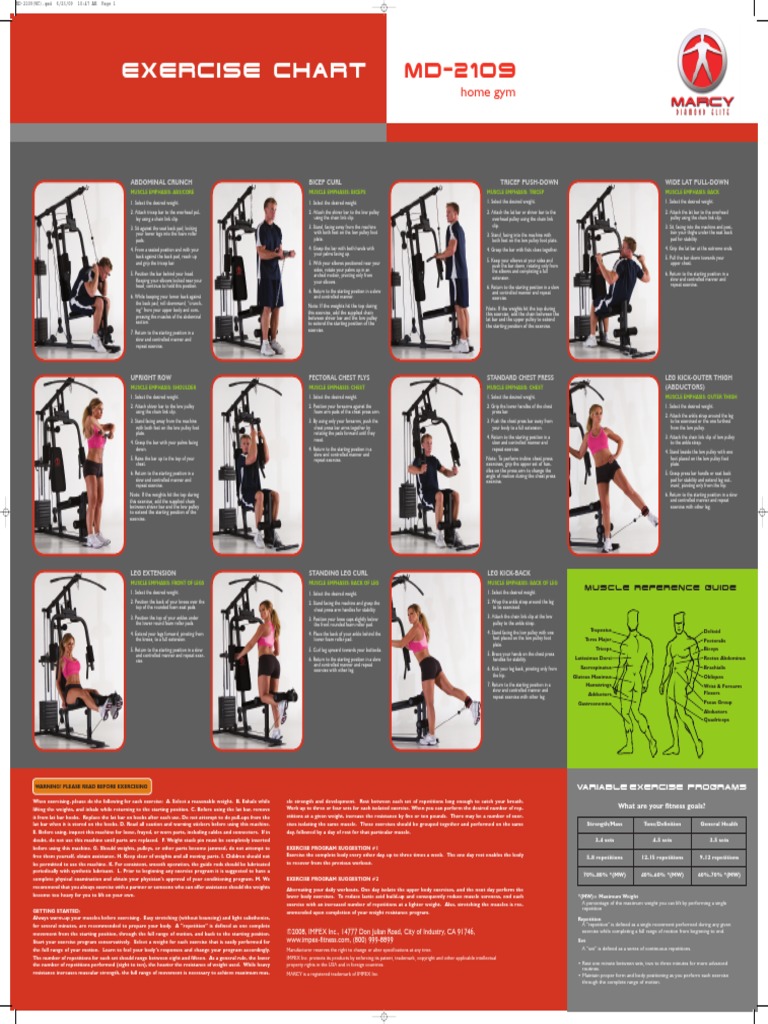 Weight Machine Exercise chart Human Anatomy Musculoskeletal System